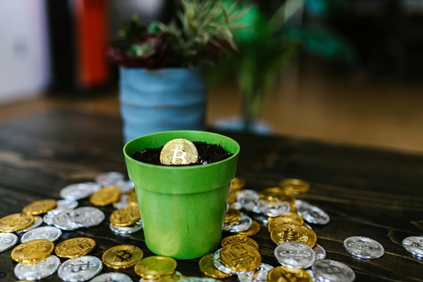 Gold Bitcoin coin planted in soil inside a green pot surrounded by scattered gold and silver coins
